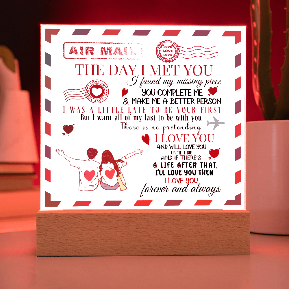 The Day I Met You Valentines Day Acrylic Gift